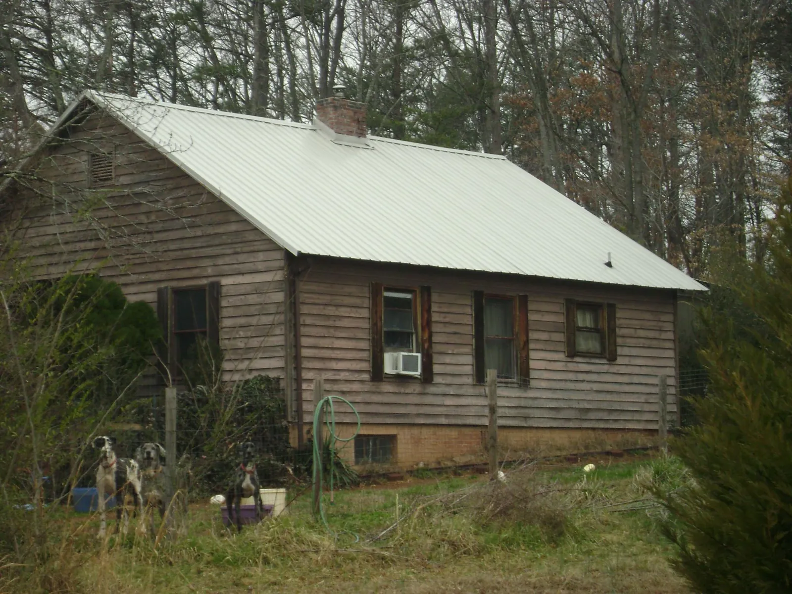 White metal roof on an old wood sided farmhouse, from a Asphalt Shingle Roof Repair job in Davis